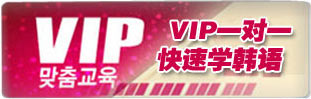 大明韩语VIP