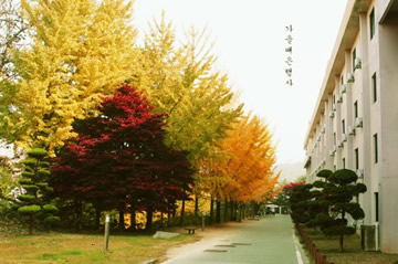 公州大学